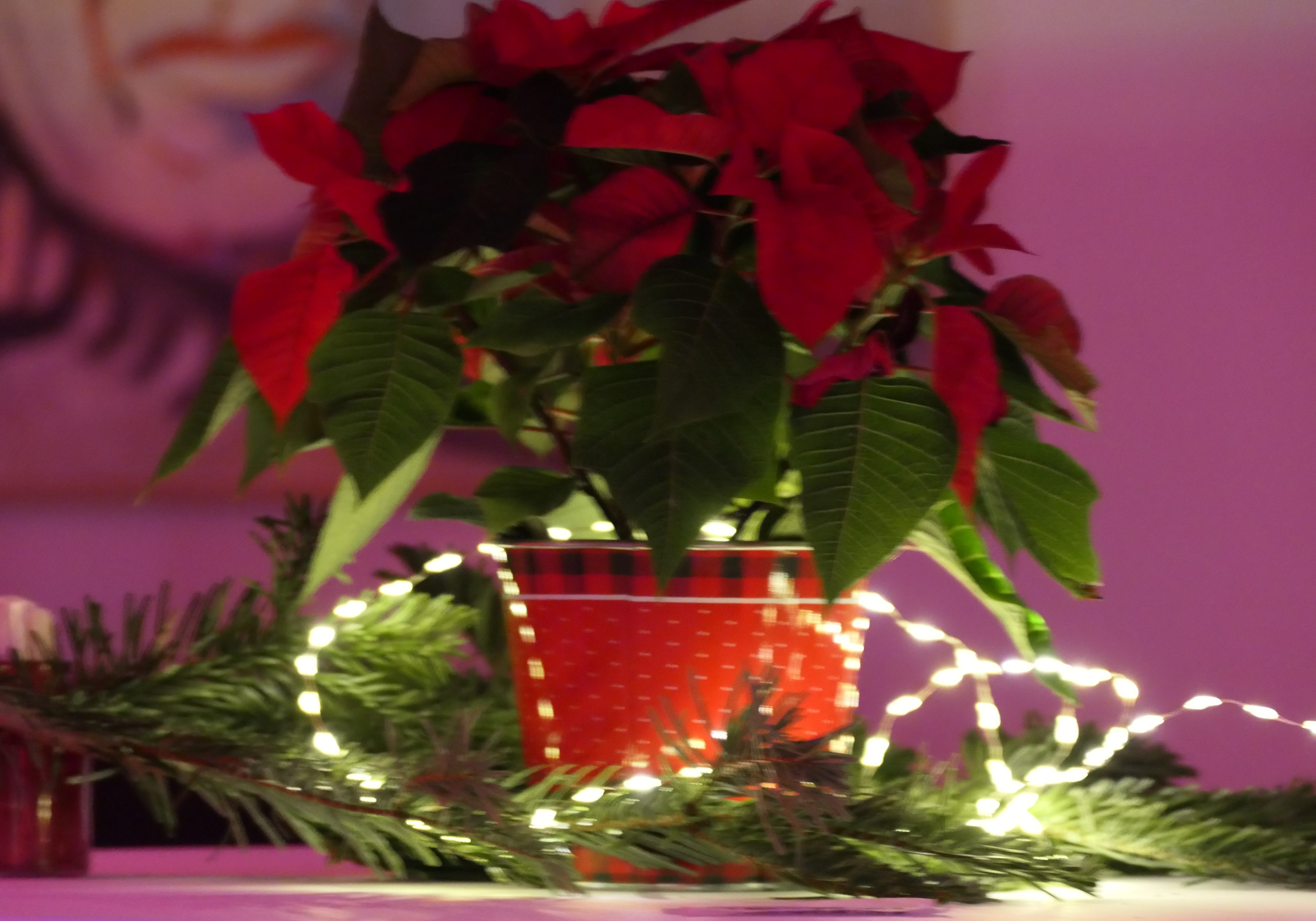 Weihnachtsfeier 2023